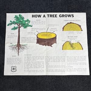 How A Tree Grows Poster Vintage 1955 US Forest Service - Mid Century Ephemera